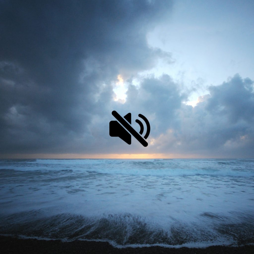Ocean_mute