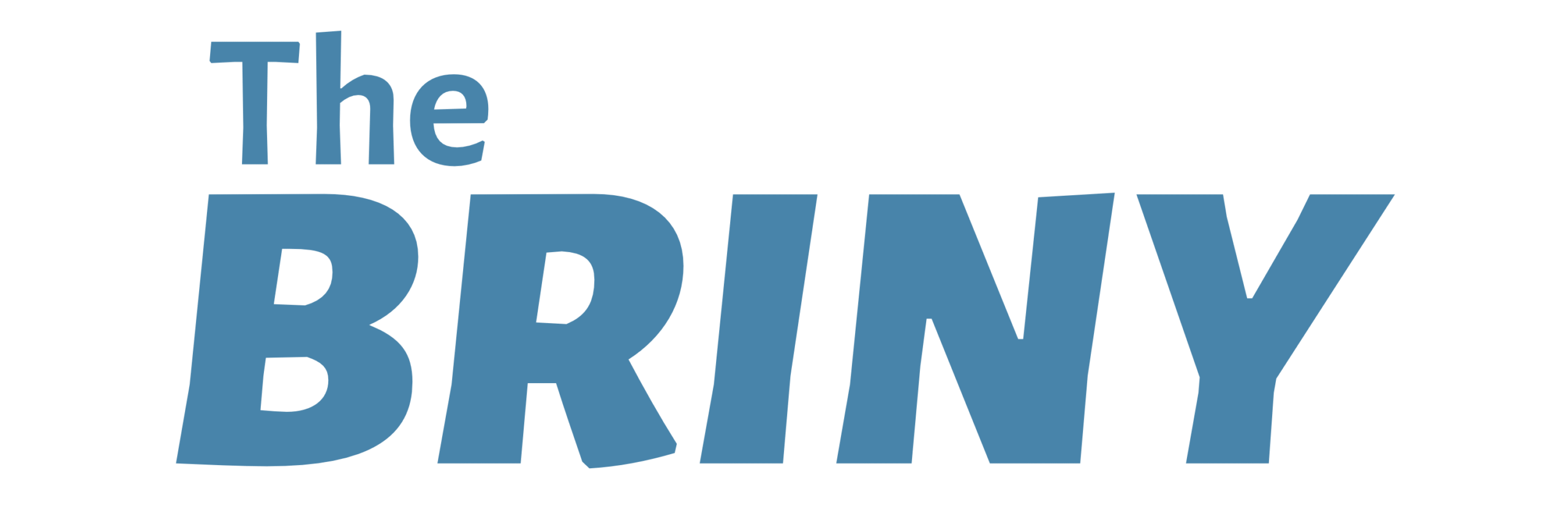 THE BRINY